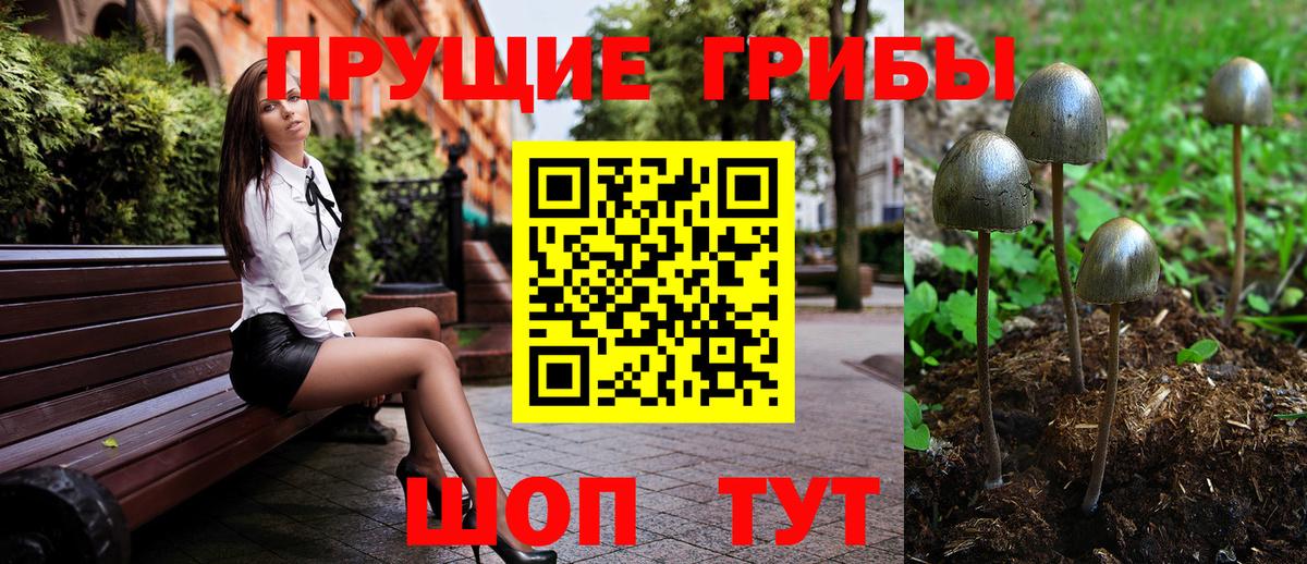 Галлюциногенные грибы Magic Shrooms  Вход с VPN  Углич 