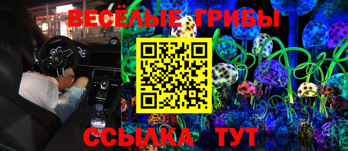 Псилоцибиновые грибы мицелий Углич
